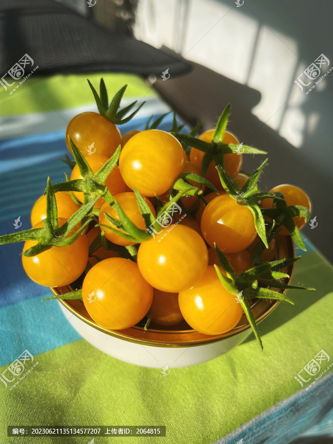 夏日阳光番茄