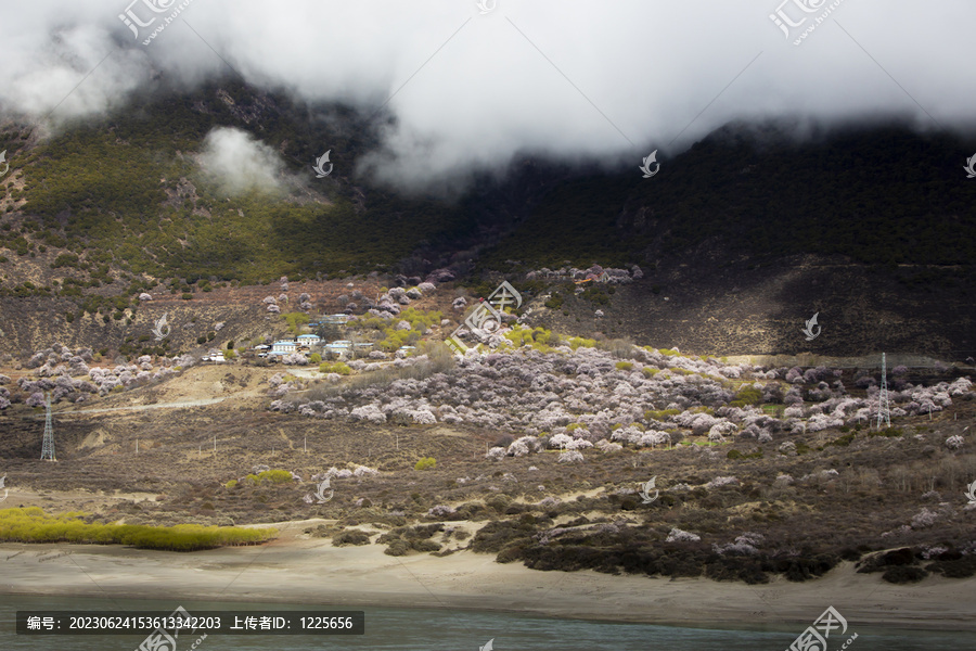 雅鲁藏布江峡谷风光4