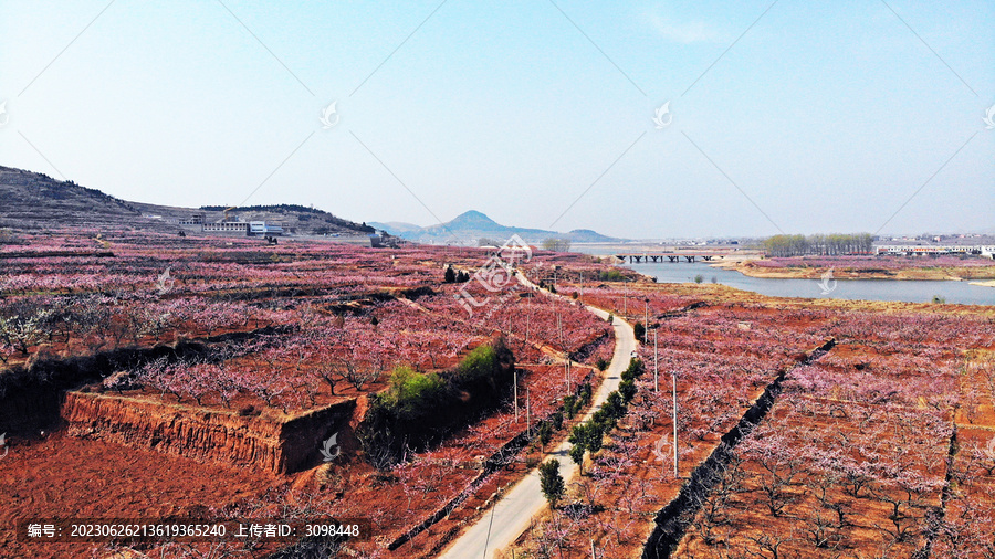 山亭区岩马湖桃园村景