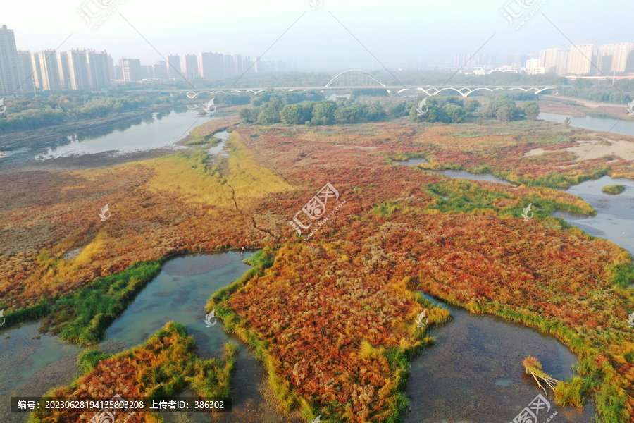 洛阳洛河湿地