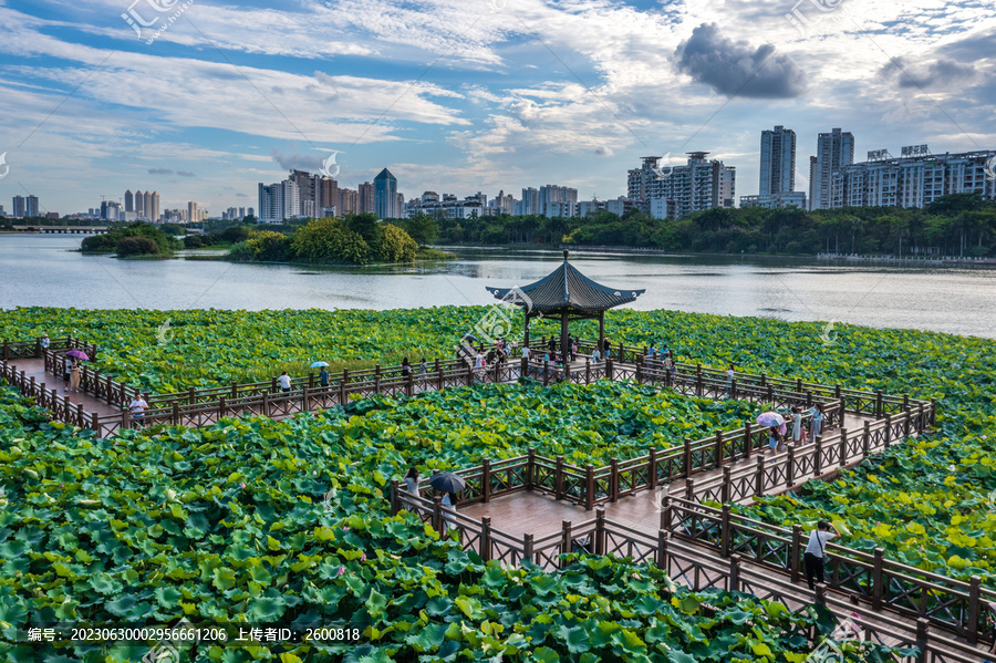 广西南宁南湖公园