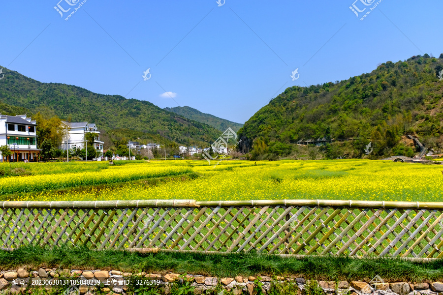 玉山太甲山风景区春季油菜花海