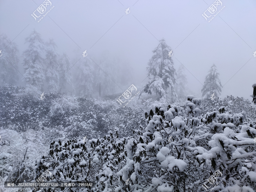 瓦屋山雪景