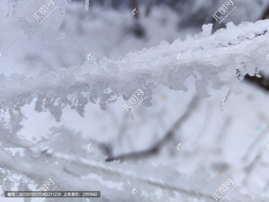 冰雪