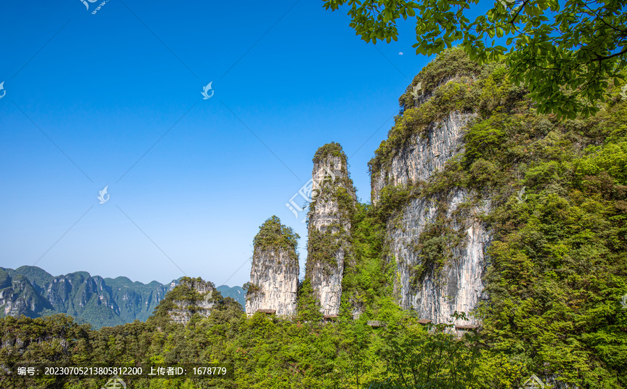 柴埠溪大峡谷