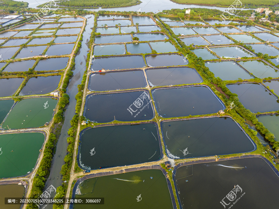 海南海口塔市虾塘