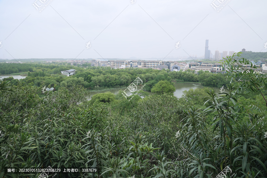 城市风景绿色树林