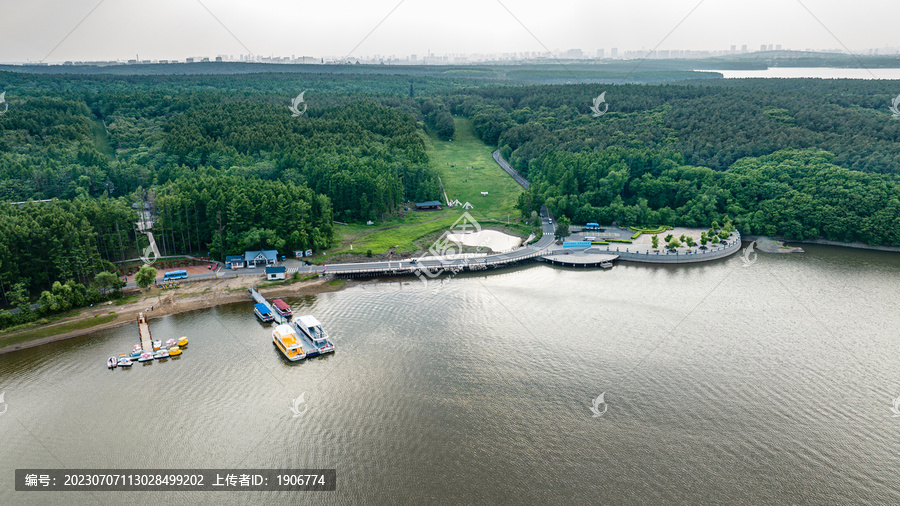 夏日里的长春净月潭公园风景