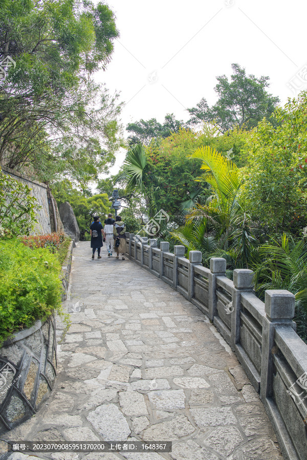 日光岩山上的石铺路与树木