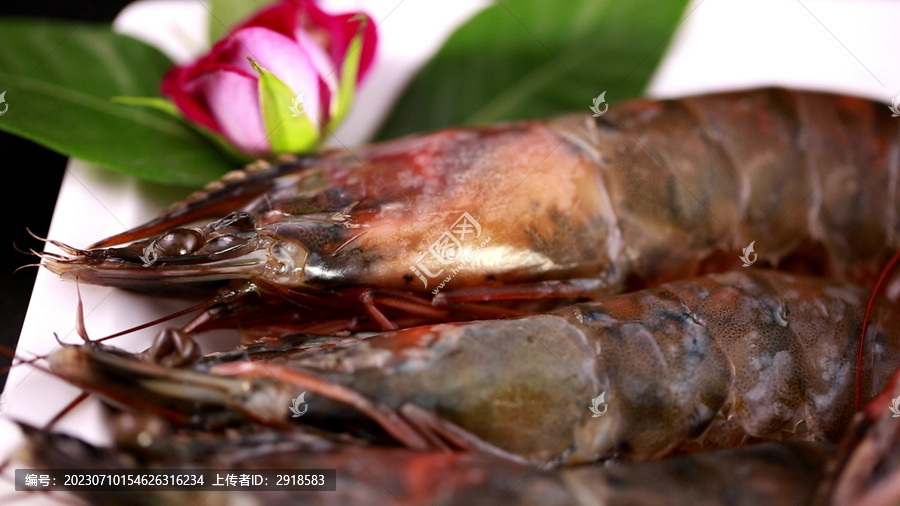 黑虎虾对虾海虾
