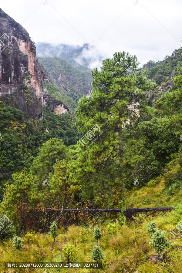 云南丽江老君山风光