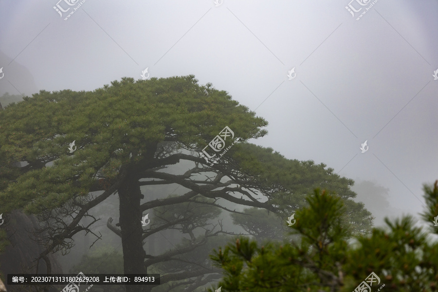 黄山风景