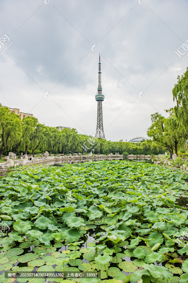 诸城龙塔