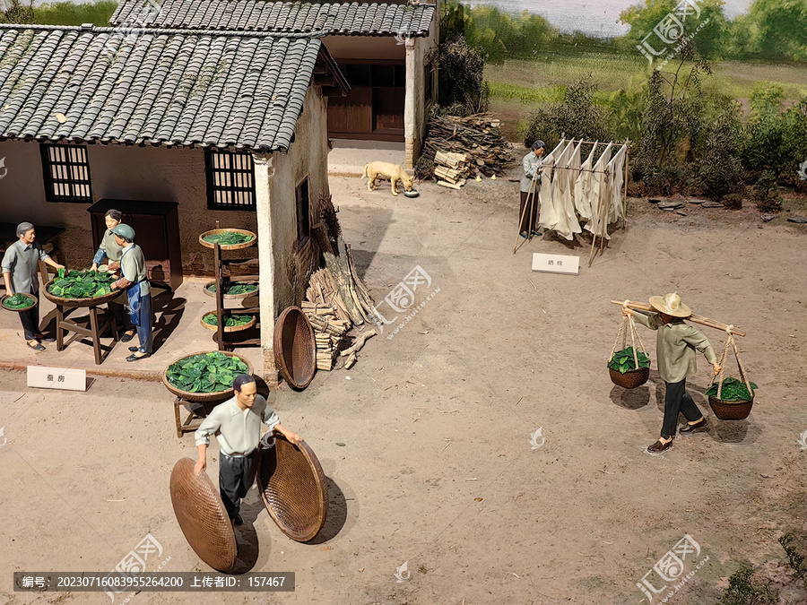 江南桑蚕养殖场景