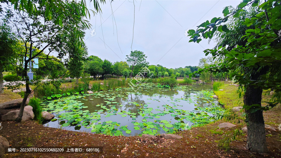 湖景