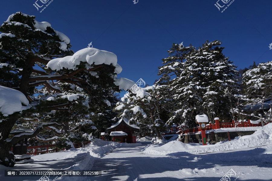 雪中的庙宇