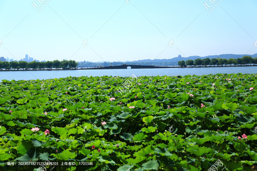 西湖山水