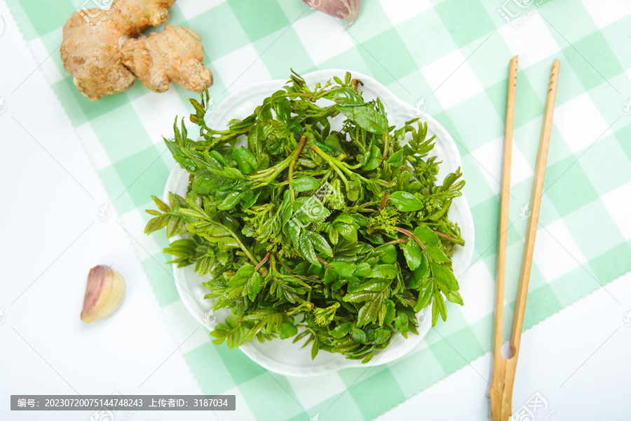 郁郁葱葱的花椒芽