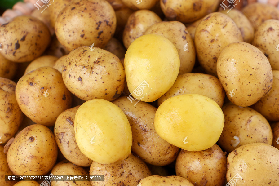 新鲜小土豆