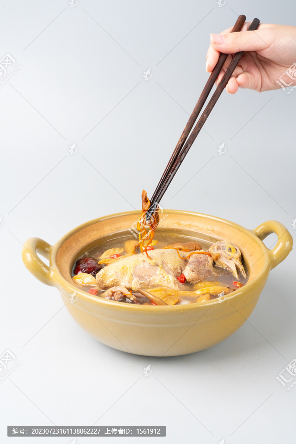 鸽子养生汤