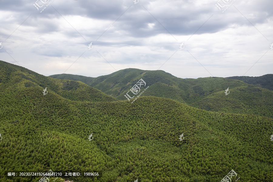 莫干山竹海