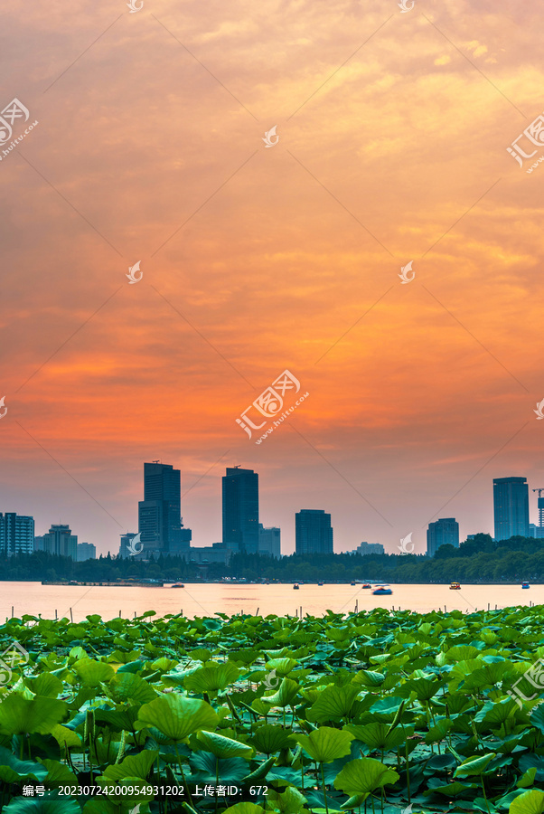 玄武湖日落美景