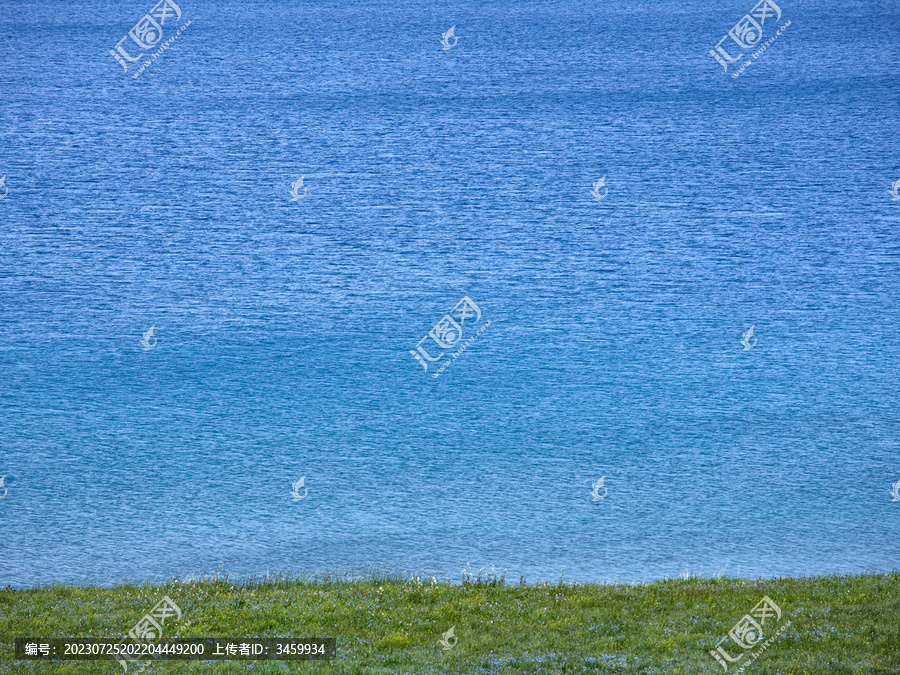 赛里木湖的蓝色湖面和草原