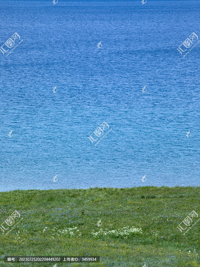 赛里木湖的蓝色湖面和草原