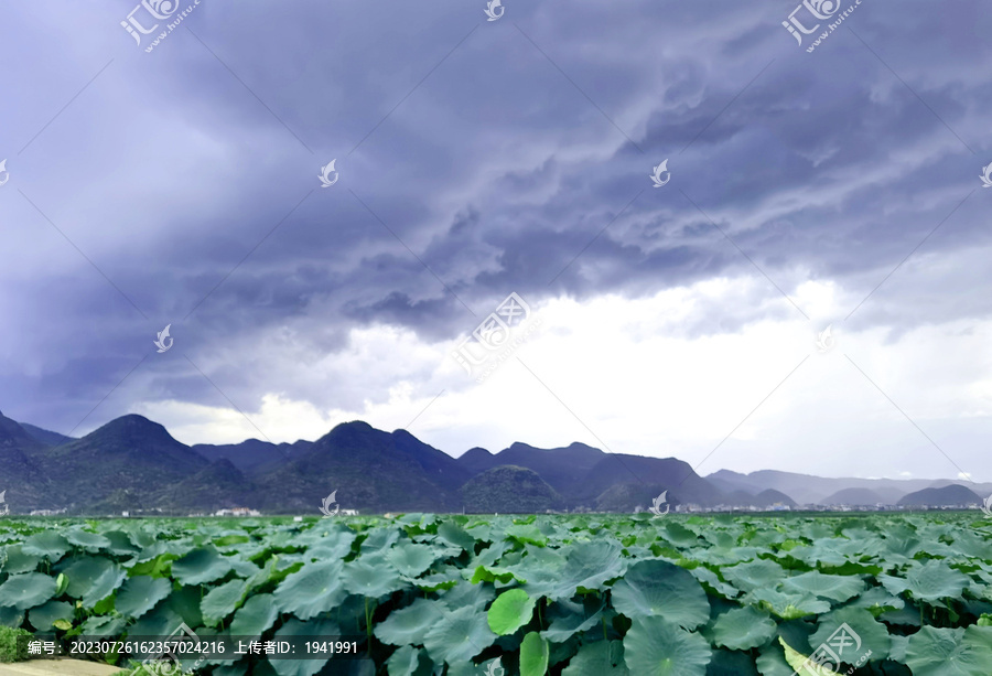 暴风雨