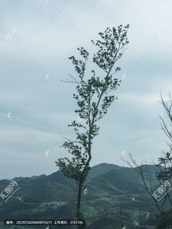 高山云海