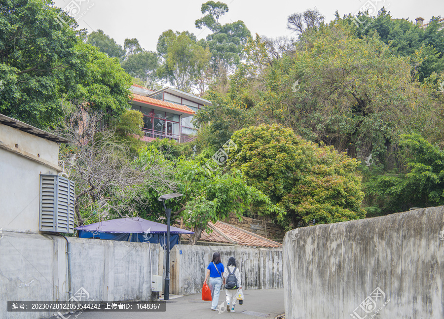 鼓浪屿柏油路水泥墙树林小楼