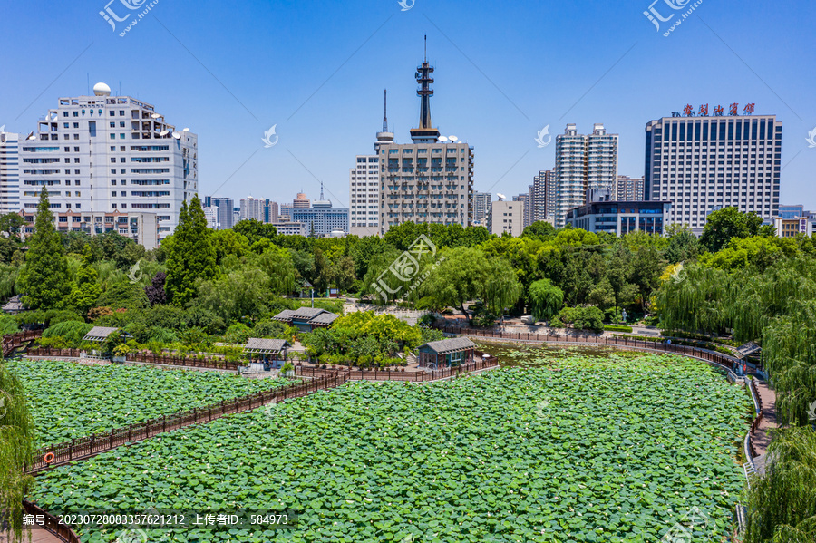 航拍夏日荷塘碧绿荷叶观景栈道