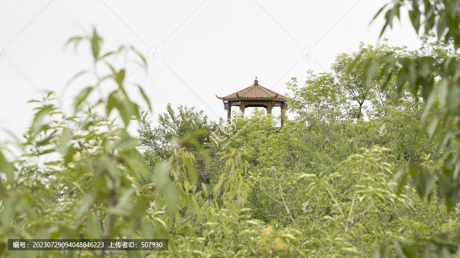 北京昌平猕猴桃谷