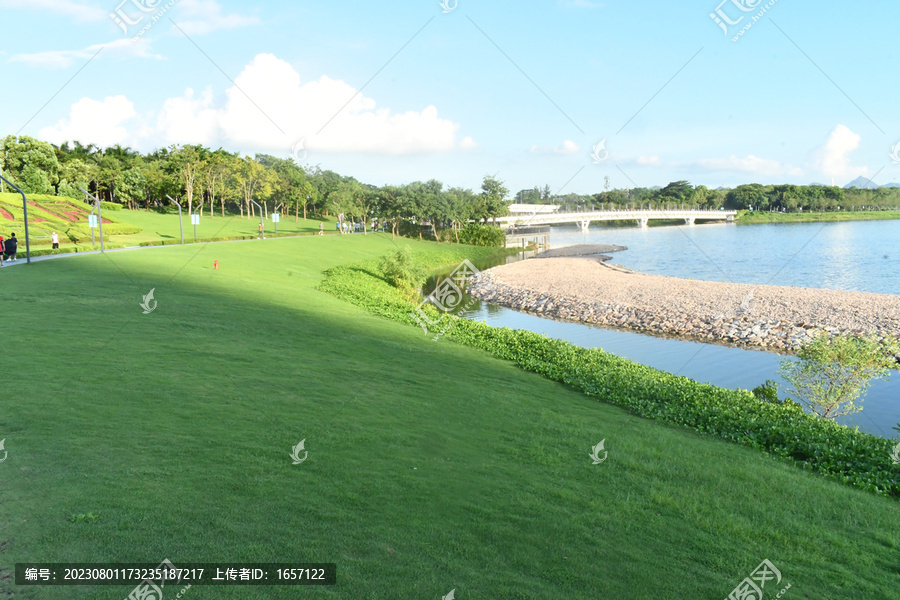 海边绿色草地