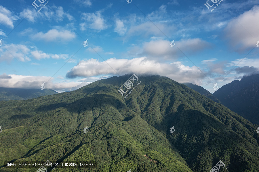 黄山汤口镇自然风光