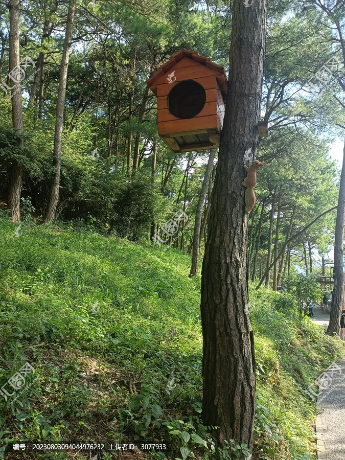 松鼠木屋