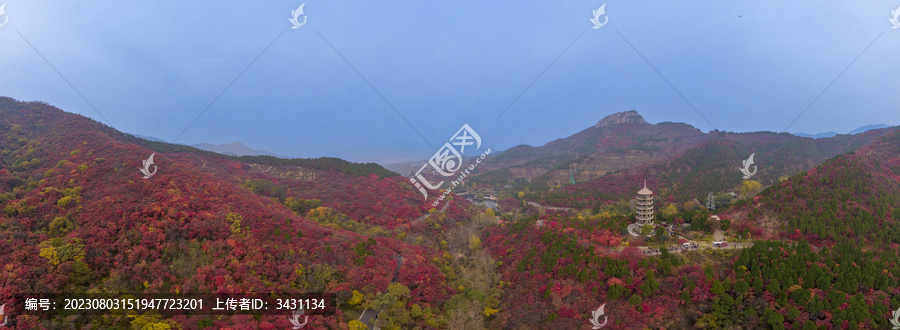 山东济南红叶谷秋天航拍全景