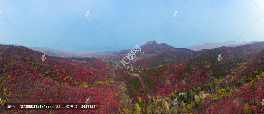 山东济南红叶谷秋天航拍全景