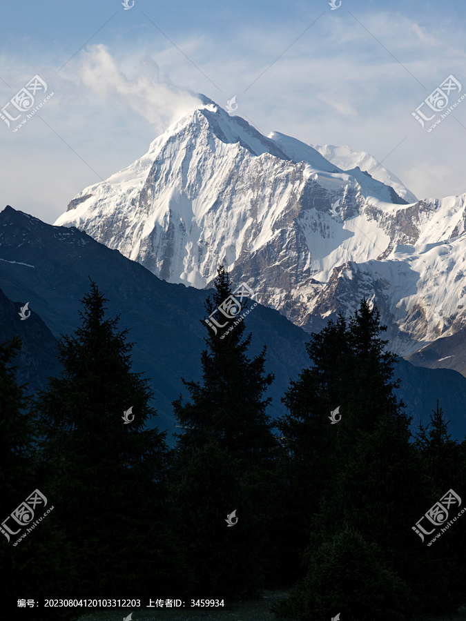 新疆伊犁的森林雪山风景