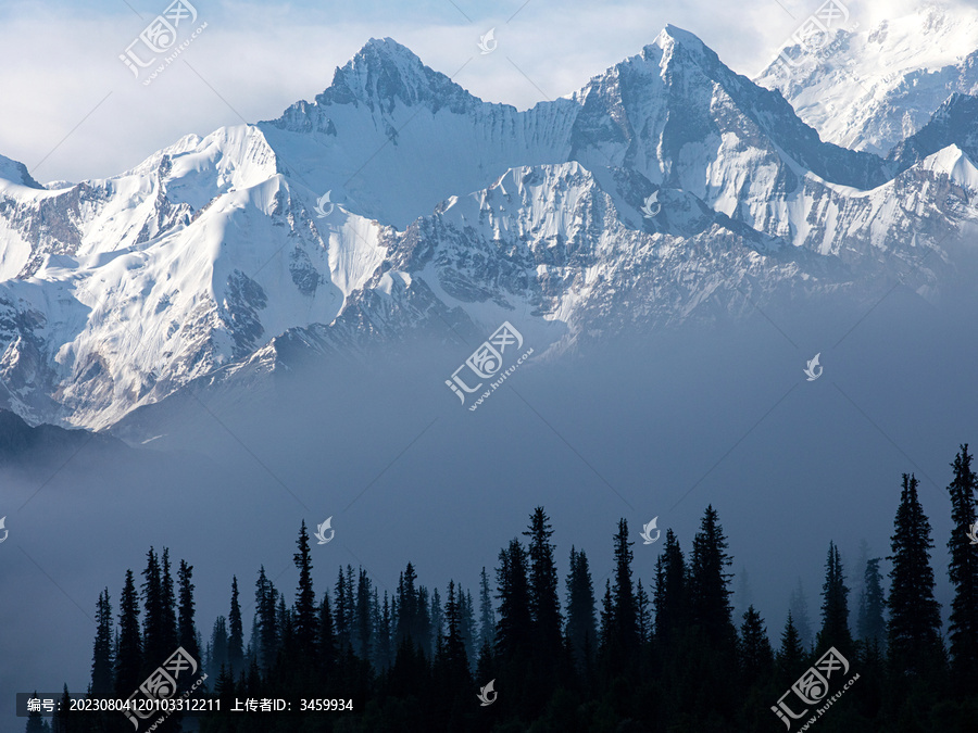 早晨大雾中的森林雪山风景