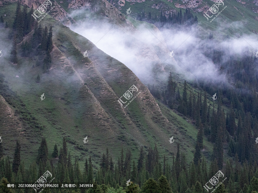 早晨雾气中的高山风景