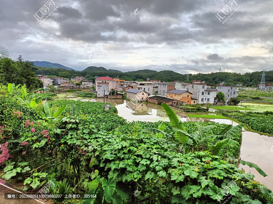 农村风景