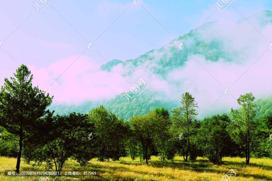 高山森林公园