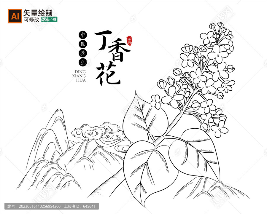 线描丁香花