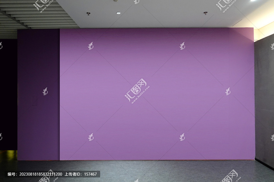 紫色背景墙