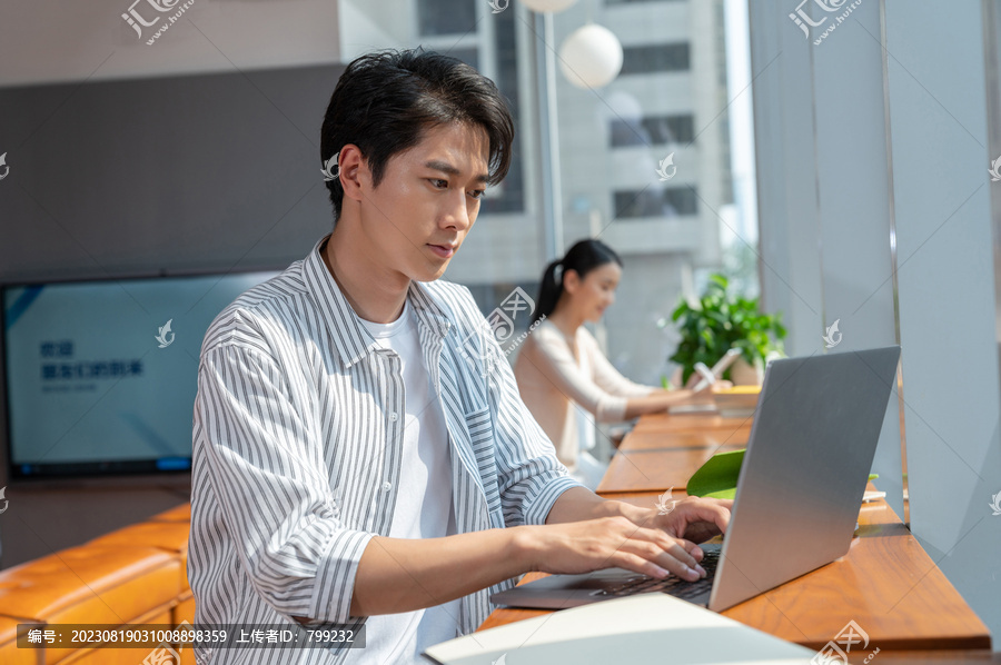 两个年轻人使用电脑专心工作