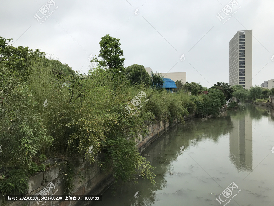 绿色城市河岸风景