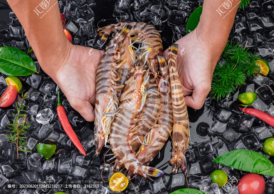 花虾斑节虾