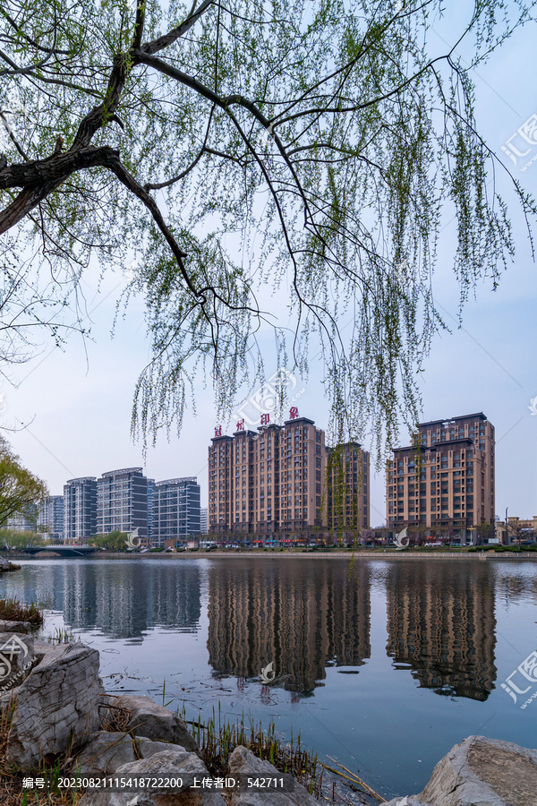 冠县冠洲印象住宅区