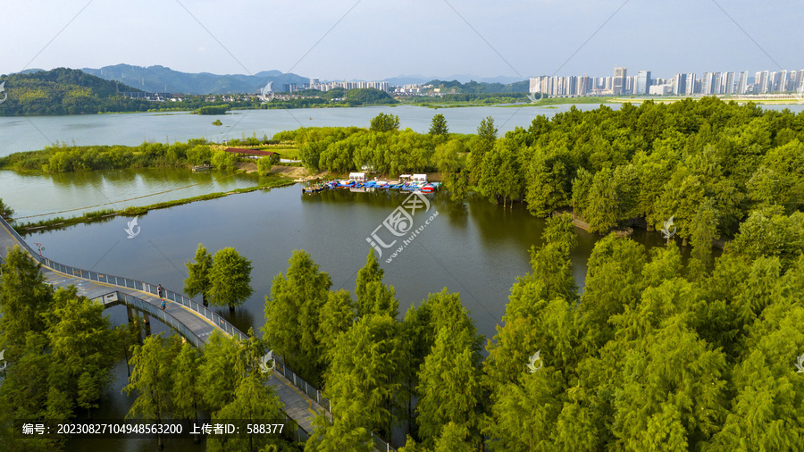 杭州临安青山湖水上森林